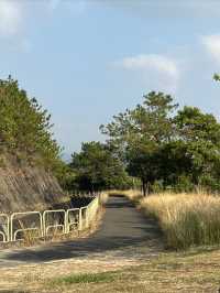 大欖郊野公園｜麥理浩徑第十段千島湖清景台