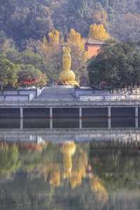 千年古寺｜靈泉寺
