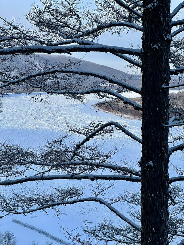 龍江第一灣｜來追一場北方的雪吧
