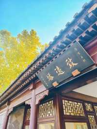 探天津北寧公園秋之美：秋的終極棲息之所