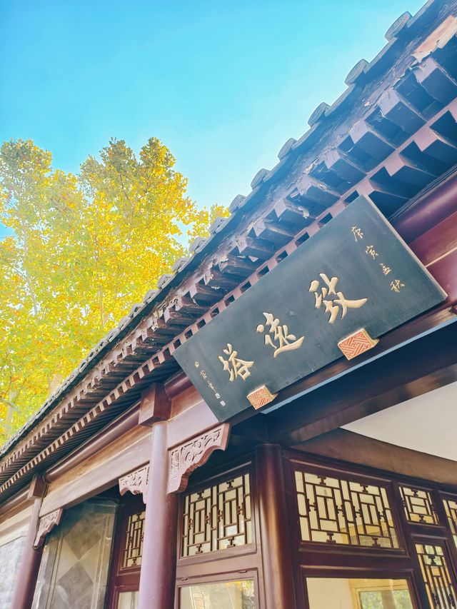 探天津北寧公園秋之美：秋的終極棲息之所