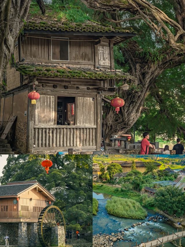 雲水謠古鎮｜冬天來真的贏麻了，人少景美拒絕人擠人