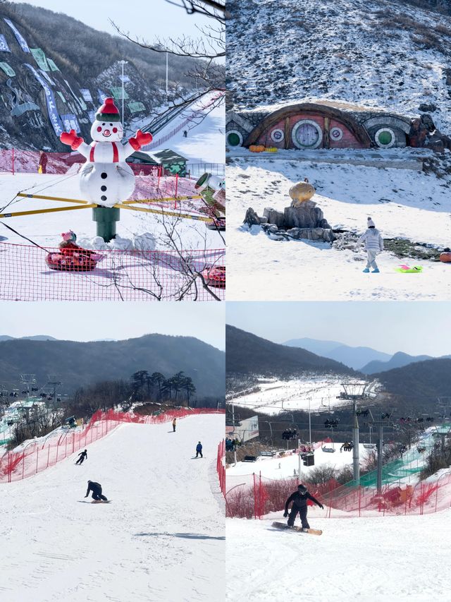 雲上草原滑雪秘笈：老手的三年實戰心得