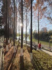臨滄市玉龍湖公園