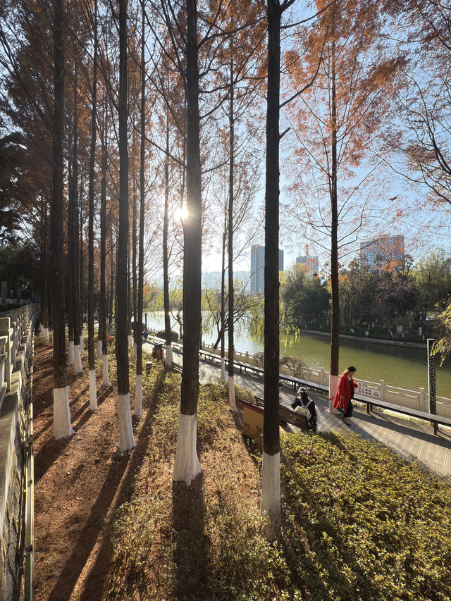 臨滄市玉龍湖公園