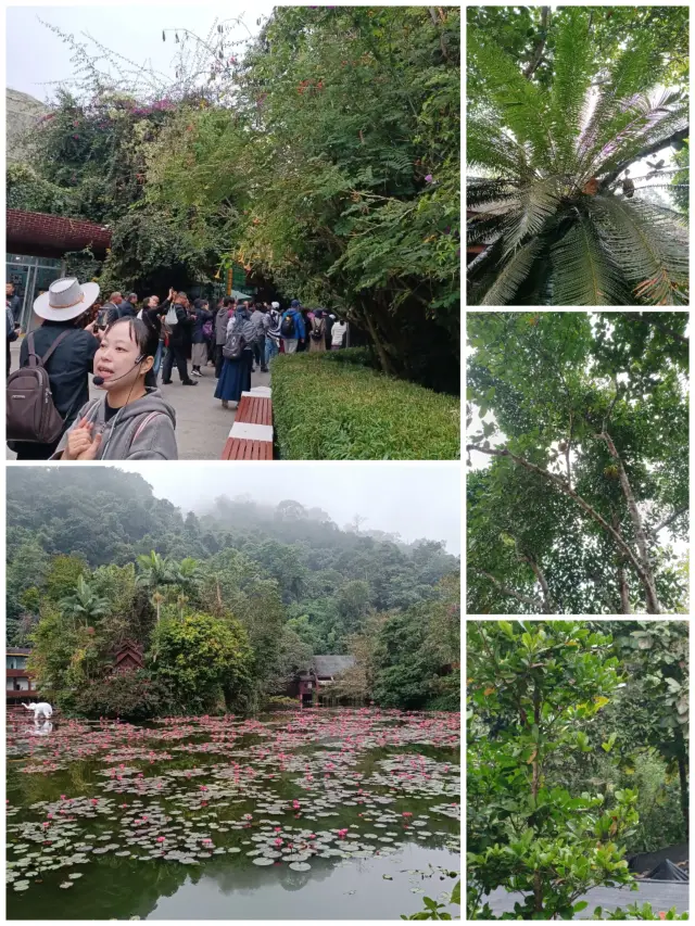 ทริปสำรวจหุบเขาช้างป่าและอุทยานป่าดิบชื้น