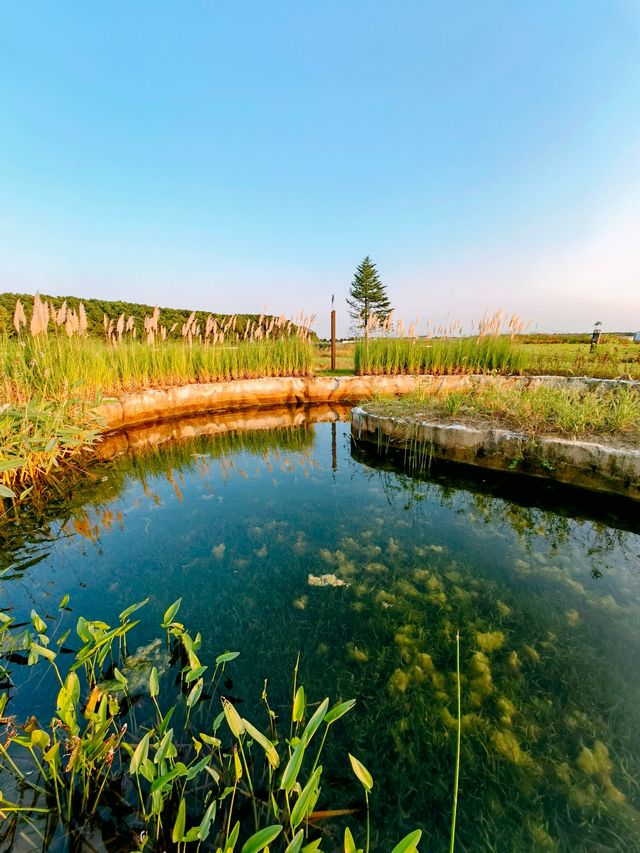 淀山湖畔，觀賞美景學習知識