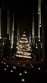 Experience the Enchanting Christmas Lights at Karuizawa's Starry Forest