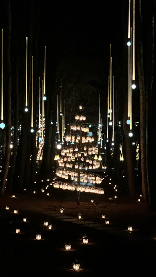 Experience the Enchanting Christmas Lights at Karuizawa's Starry Forest