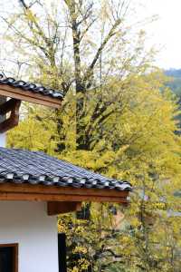 萬安旅遊，探秘斑麓高嶺宿集度假酒店