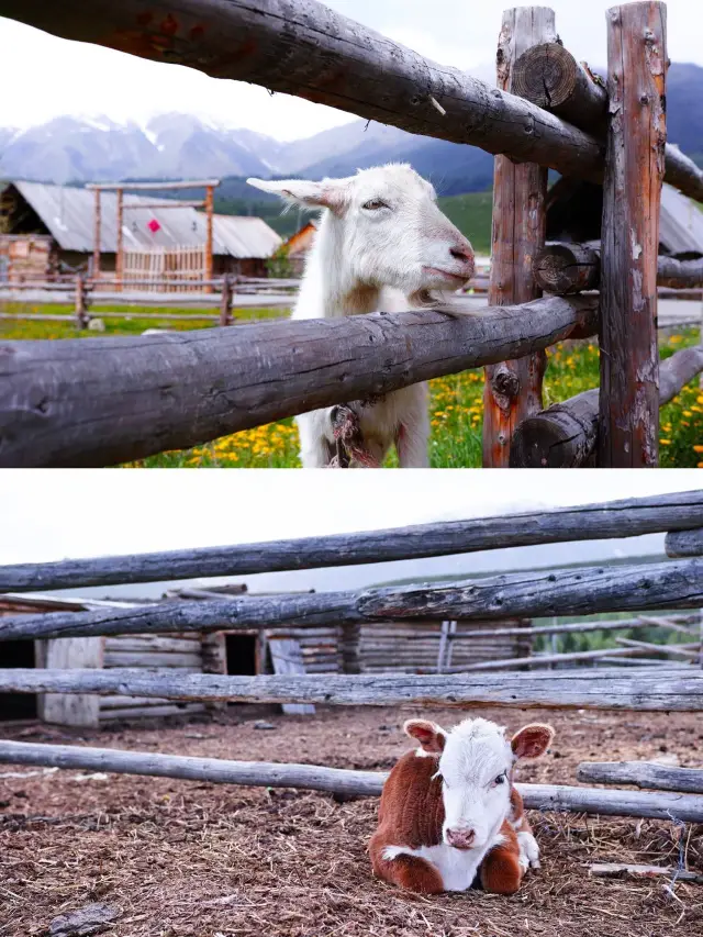 3-Day Trip to Urumqi and Turpan, Xinjiang: A Super Detailed Guide