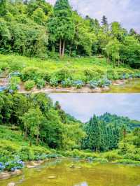 四川雅安隱藏版仙境，龍蒼溝疊翠溪等你來發現
