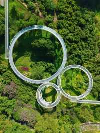 深圳｜以橋為由的大頂嶺公園，你來了嗎
