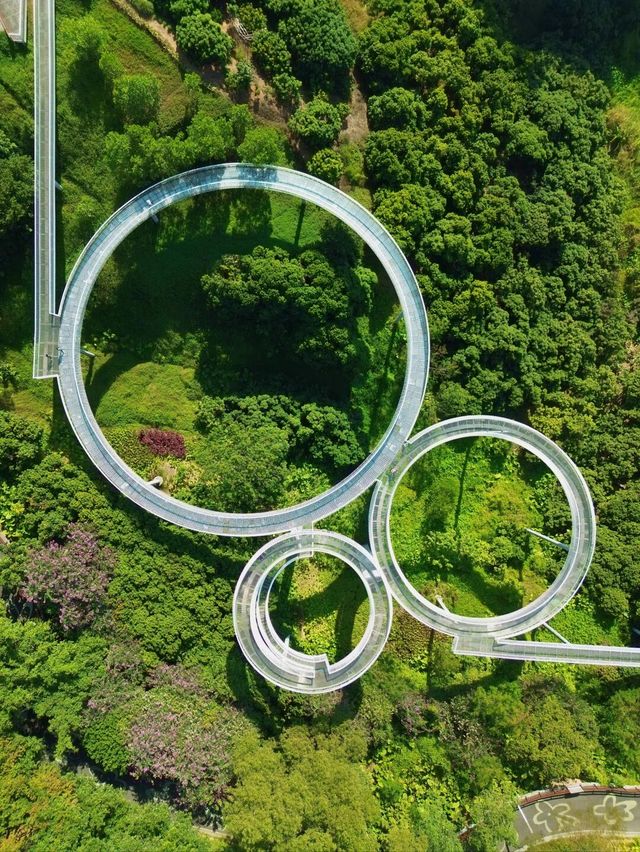 深圳｜以橋為由的大頂嶺公園，你來了嗎