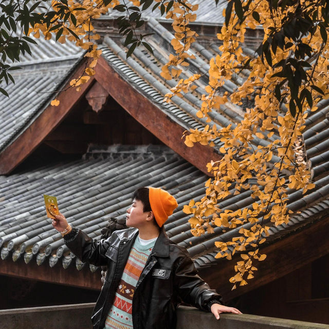 地鐵直達｜滿園金色，寶輪寺的銀杏黃了❗️||屬於重慶的冬日氛圍感已經拉滿