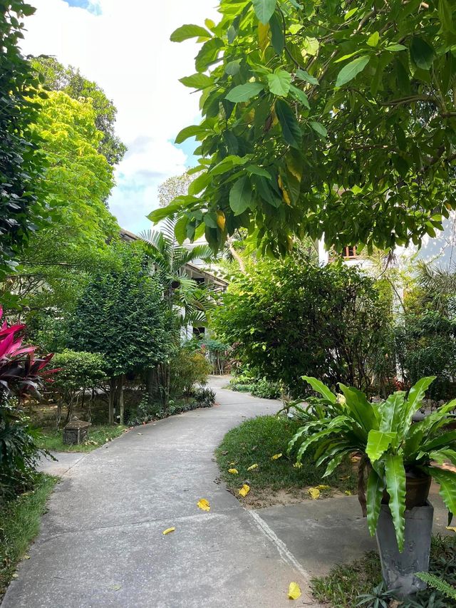 蘇梅島 | 蜂巢酒店的溫馨體驗