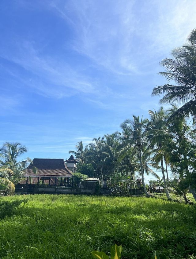 梭羅別墅度假村 | 放鬆稻田間美景