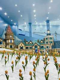 南方小土豆都有自己嘅冰天雪地