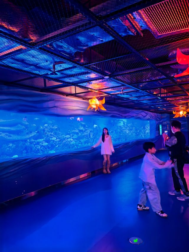 家人們！剛從廣州海洋館剛回來，我的春節建議是……