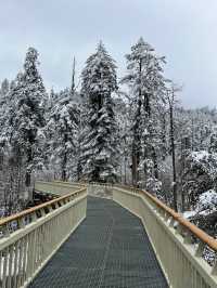 春節的海螺溝雪山溫泉之旅｜兩天一夜