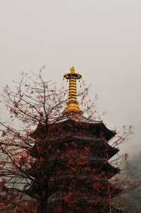 雲門寺，真的好美！