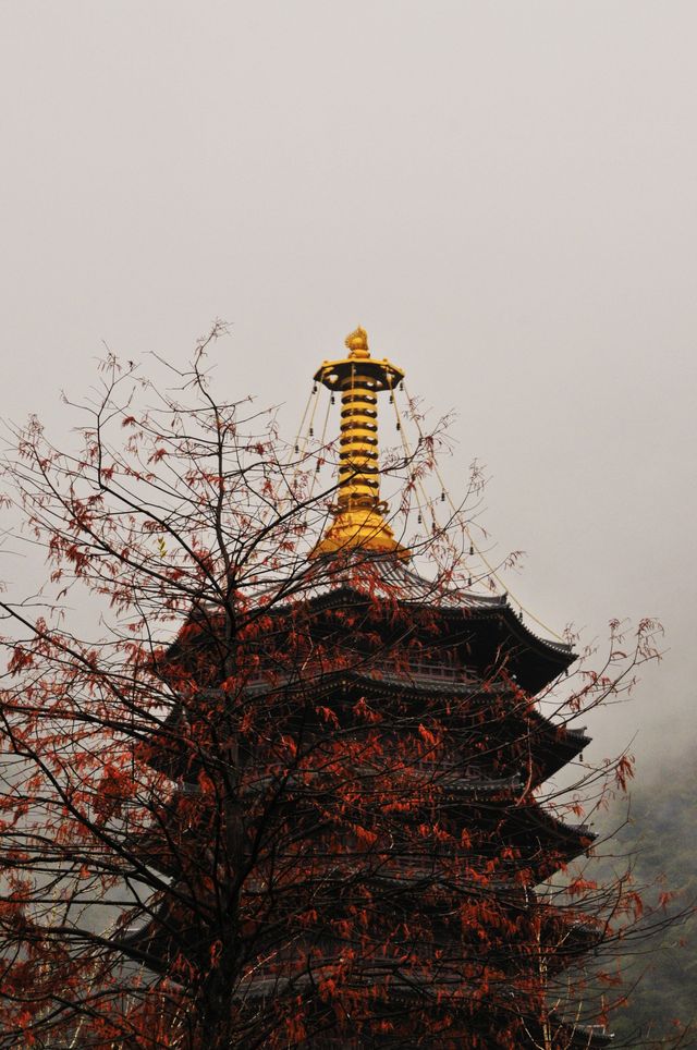 雲門寺，真的好美！