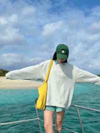 沖繩追鯨之旅