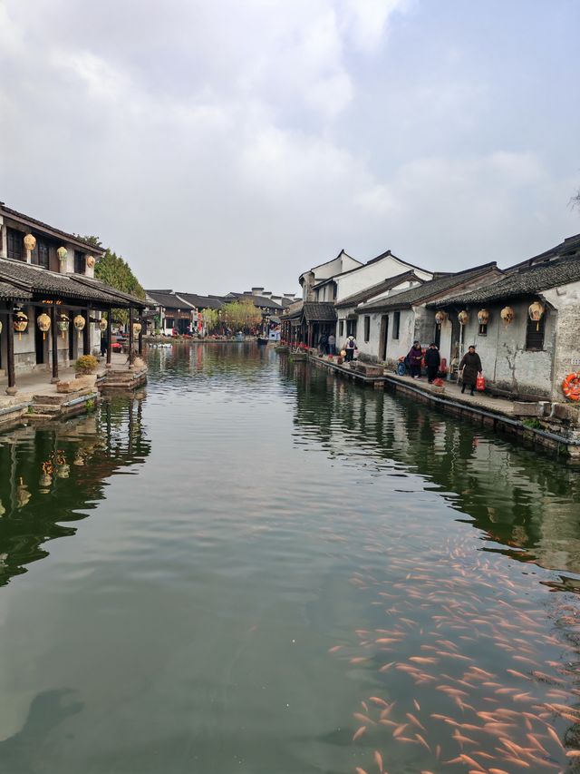 避開節日的人流，紹興黃酒小鎮真的也很棒！