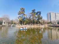 武漢|被一個公園狠狠治癒了~中山公園絕絕子