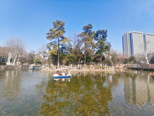 武漢|被一個公園狠狠治癒了~中山公園絕絕子