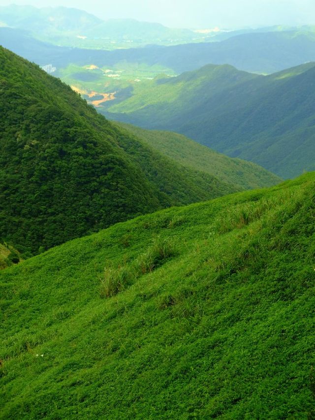 廣東6大「武功山」同款高山草甸