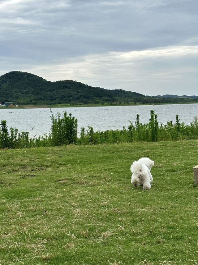 冬日溧陽旅遊攻略必睇篇