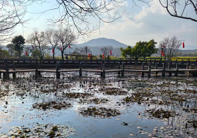 和順古鎮野鴨湖