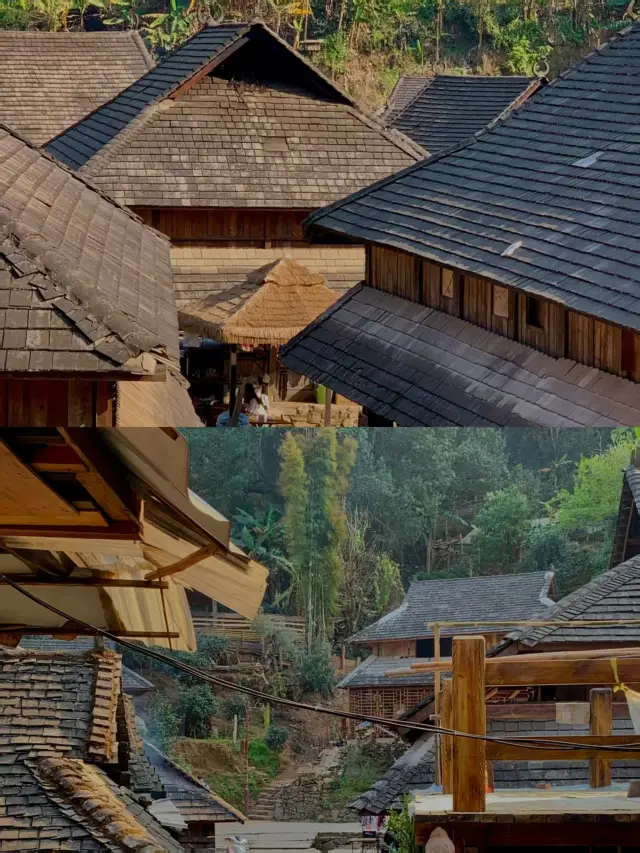 景邁山旅行全攻略，千萬別錯過！