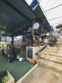 48 Hours in Cameron Highlands 🇲🇾 