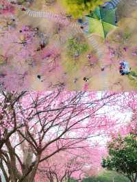 《武漢春日避雷指南》 