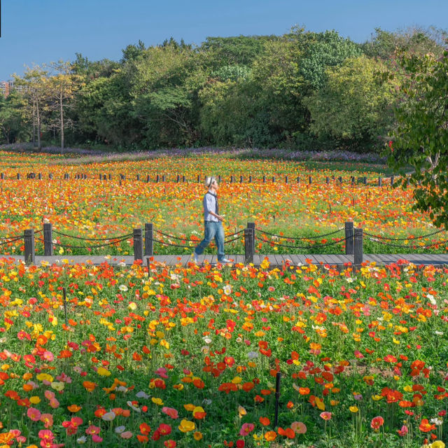 邂逅廣州藝術博物院，擁抱春天的色彩盛宴🌷