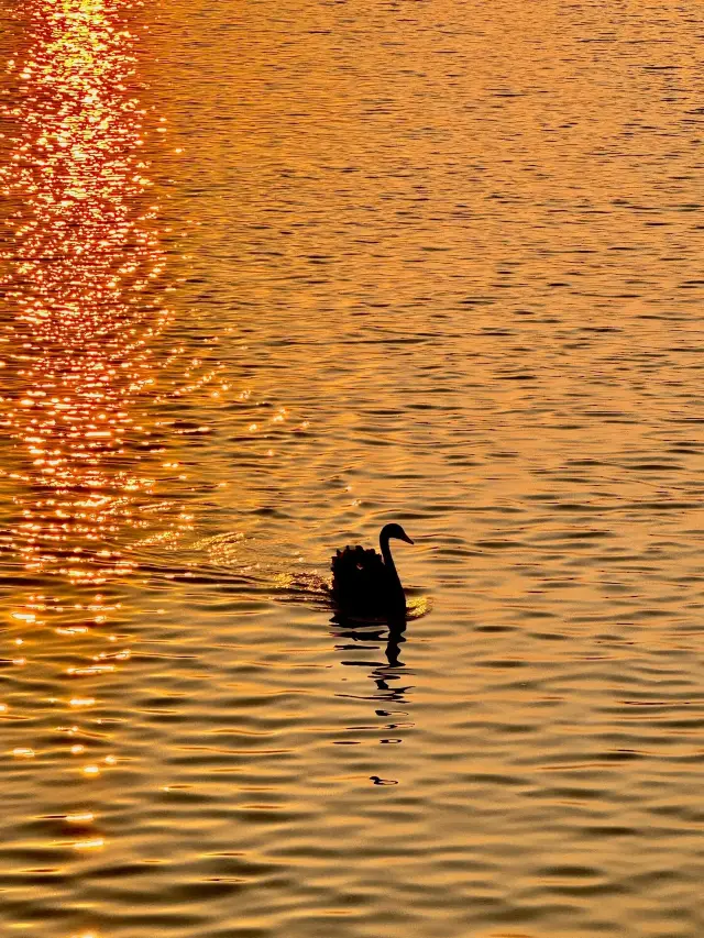 亞楠寶寶整理一份揚州兩天一日遊的詳細攻略