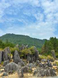 遊山玩水清遠英德一日遊攻略