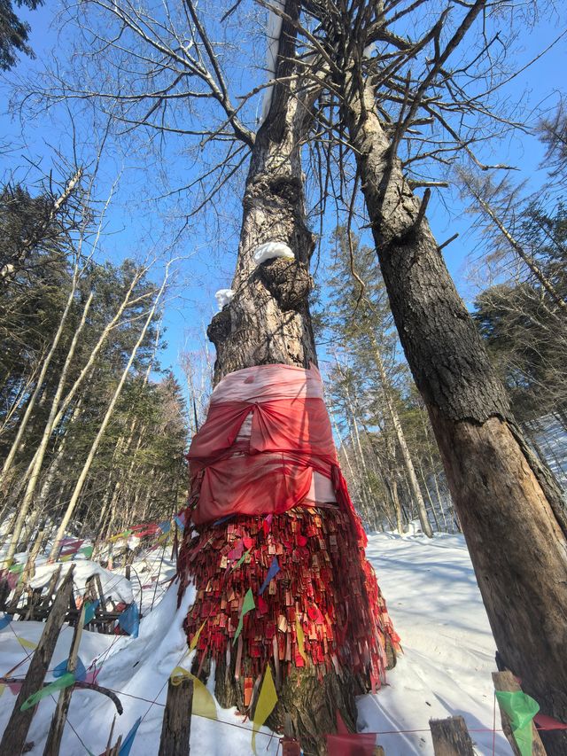 鏡頭下的大雪谷，雪蘑菇與霧凇的幻境交響