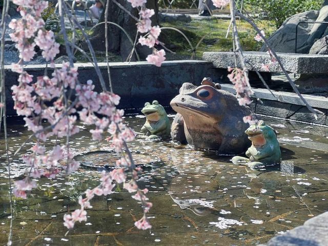 春日限定！奈良櫻花與小鹿的神仙同框攻略
