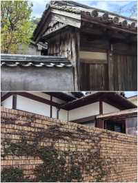 對馬市旅遊攻略