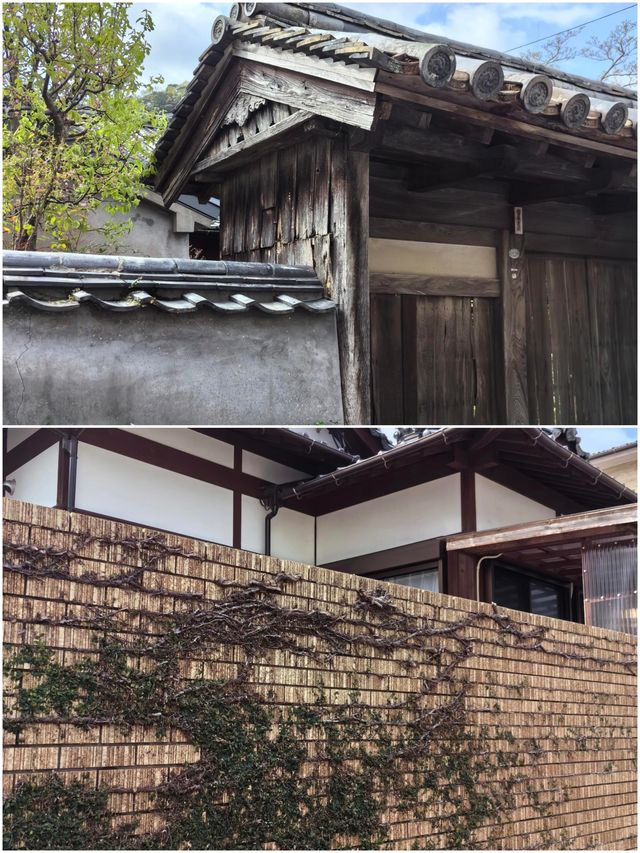 對馬市旅遊攻略