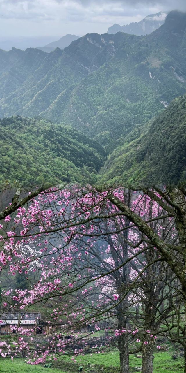 綿陽江油的藏王寨