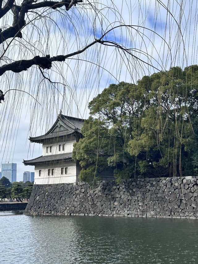 在古韻與現代之間：東京皇居漫步兩日行
