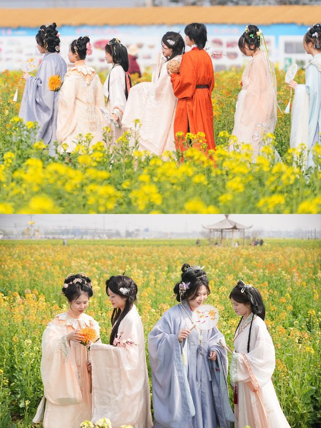 2025雲夢縣油菜花海文化旅遊節