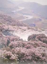 《雲端秘境｜烏蒙大草原：一場穿越四季的浪漫冒險》