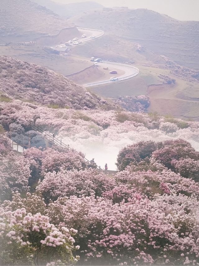 《雲端秘境｜烏蒙大草原：一場穿越四季的浪漫冒險》