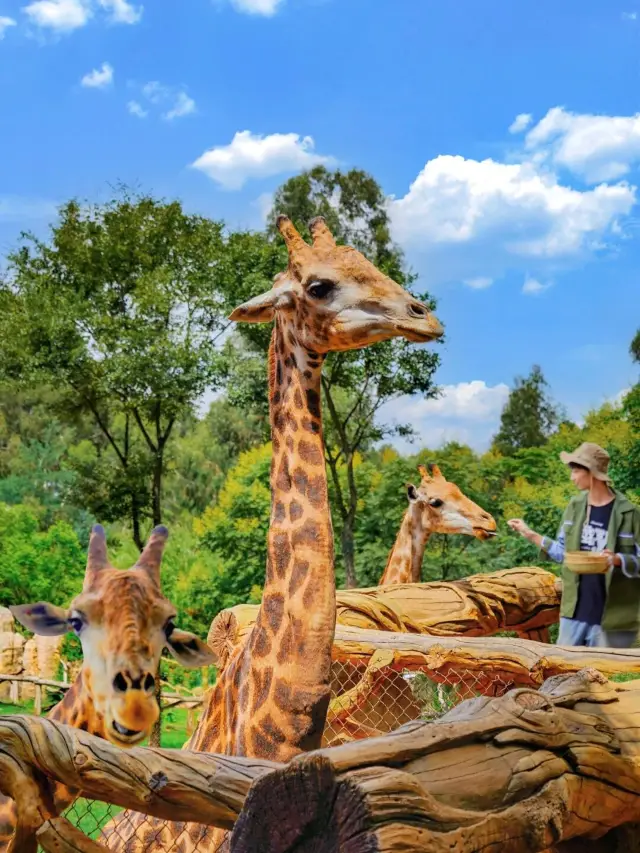 Wild animals will bite? NO, they're incredibly cute.