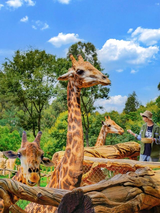 野生動物會咬人？NO！是會萌的沒邊